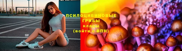 соль курить ск Алзамай