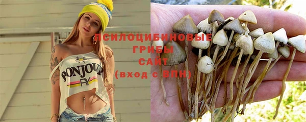 соль курить ск Алзамай
