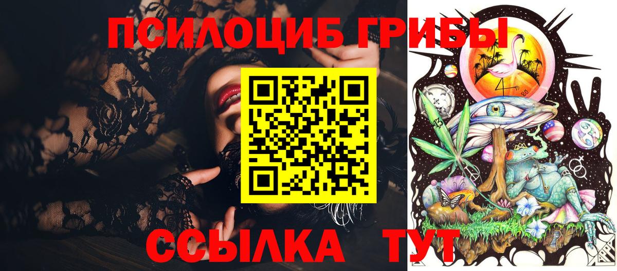 Псилоцибиновые грибы Psilocybe Бердск