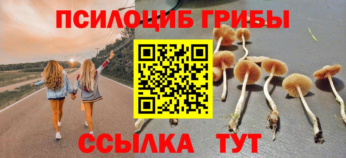 Бердск  Псилоцибиновые грибы Magic Shrooms  Псилоцибиновые грибы Cubensis  Вход с VPN 